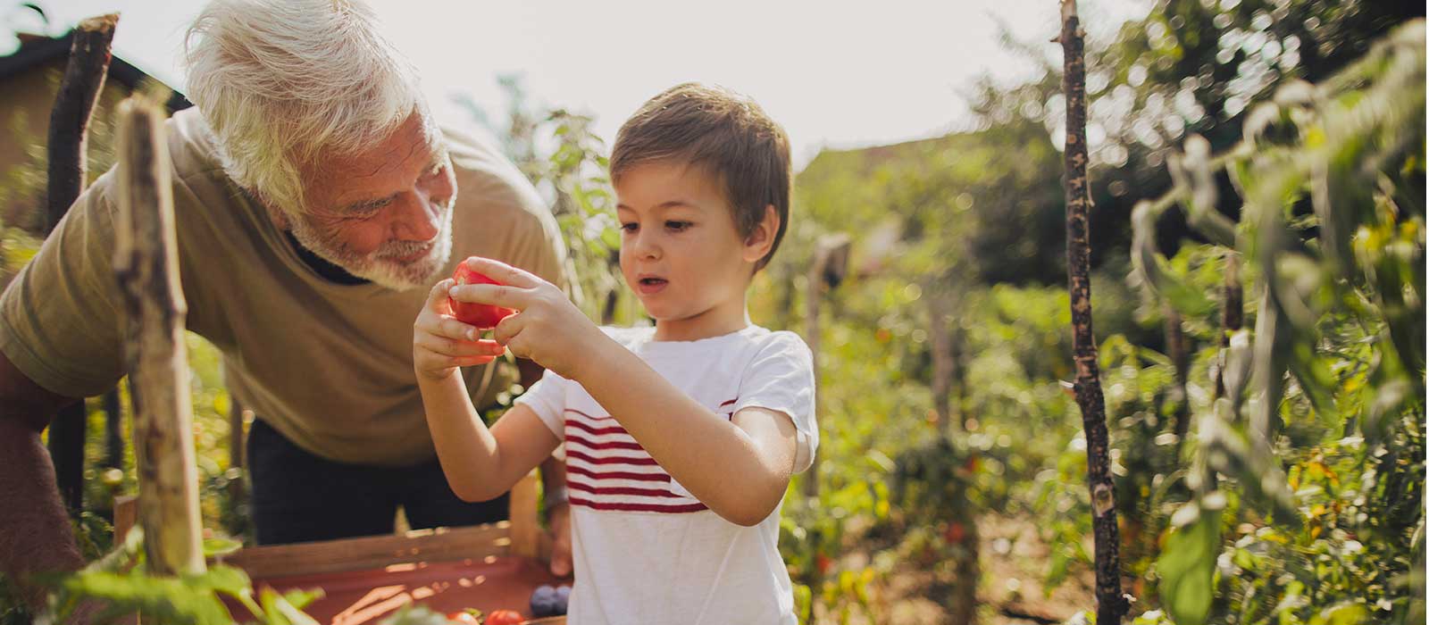 grandfather teaching grandson about gardening