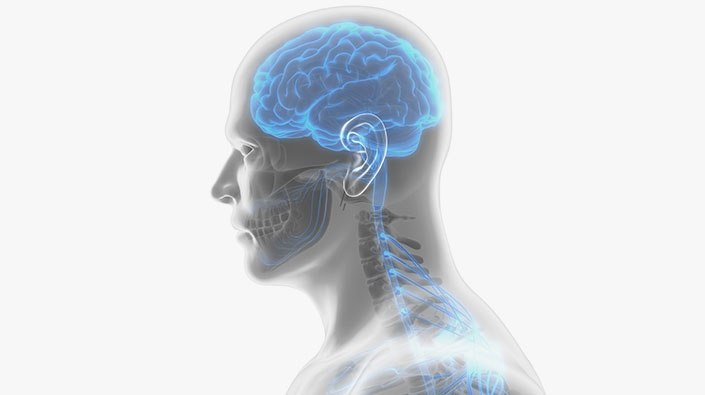 Illustration of brain and spine area of mans body