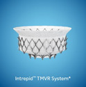 Intrepid™ TMVR