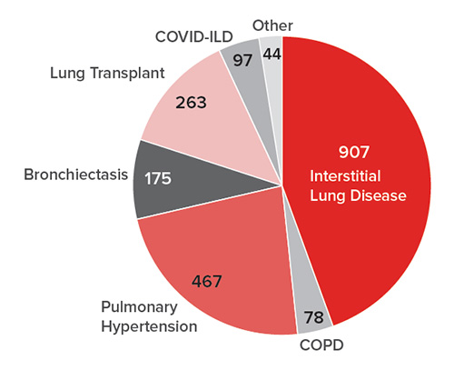 unique lung patients followed pie chart