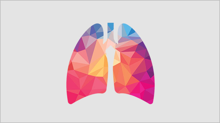 Lung illustration