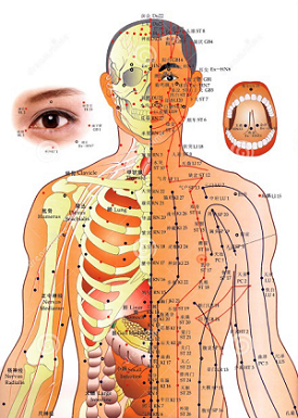 acupuncture energy points chart