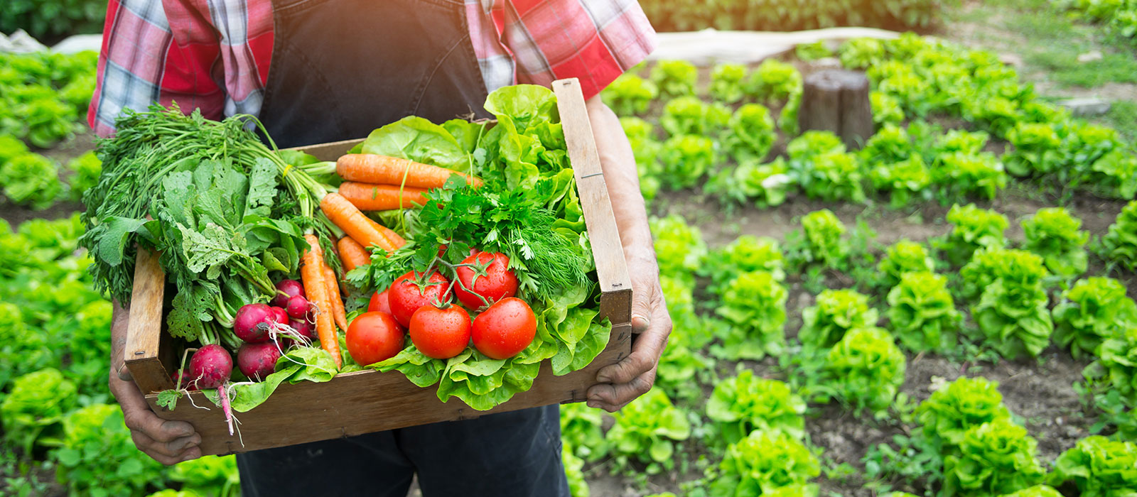 box of fresh food