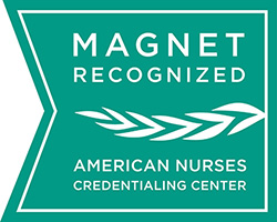 ANCC magnet recognized seal