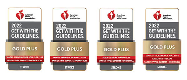 Get With The Guidelines award seals