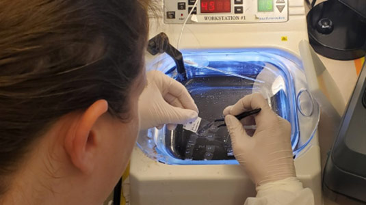 histologist working with a sample