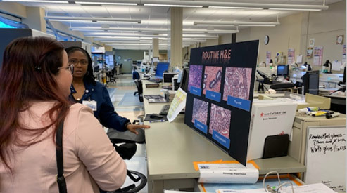 histology open house