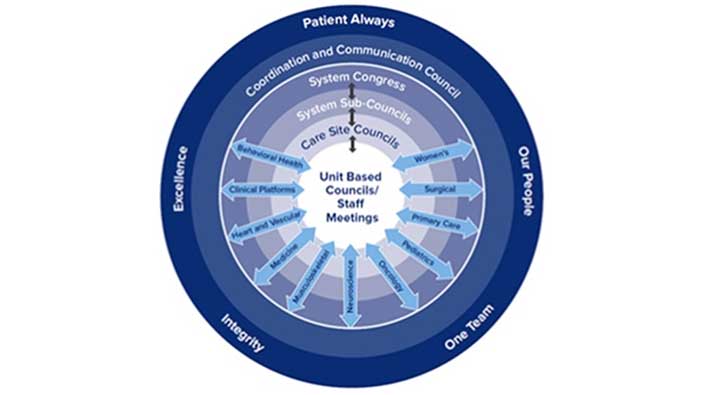 diagram of professional practice model components