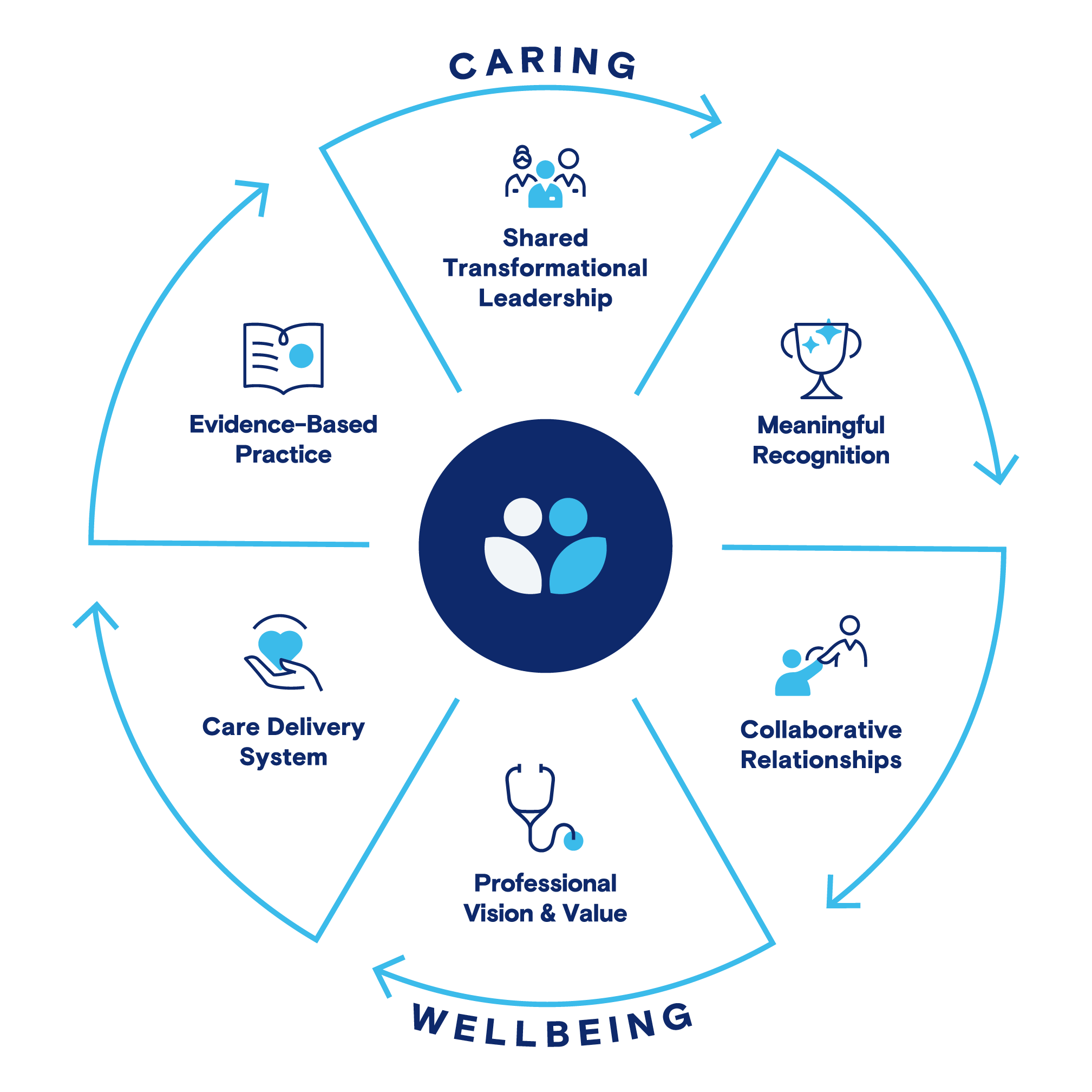 professional practice model