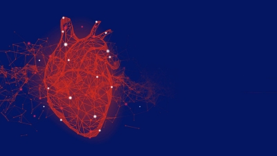 heart outcomes image