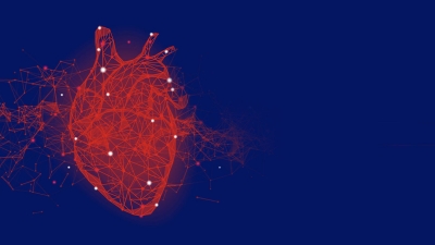 heart outcomes image