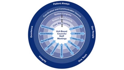 diagram of professional practice model components
