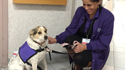 volunteer with therapy dog