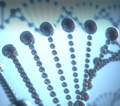 3D model of DNA strand