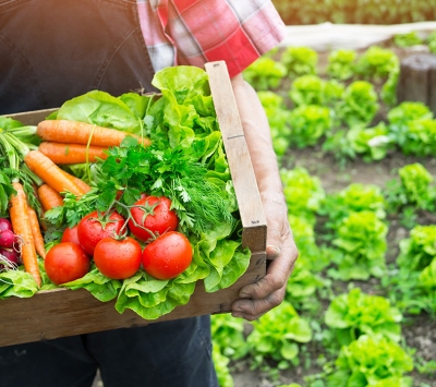 box of fresh food