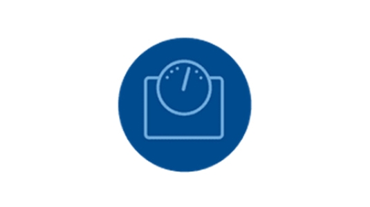 scale icon