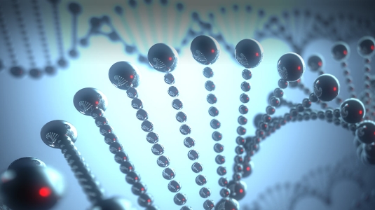 3D model of DNA strand