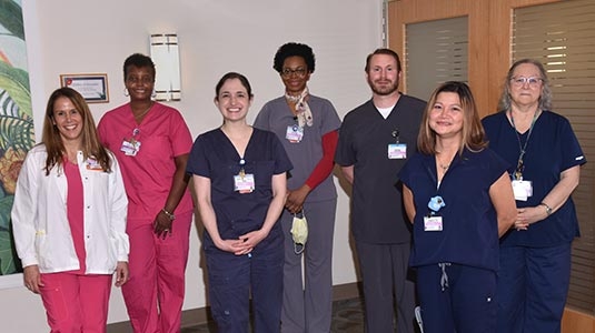 Seven team members