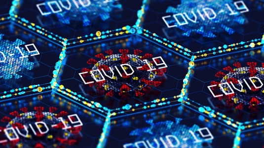 COVID-19 molecules