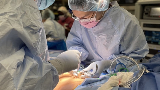 Inova Surgery residency program - Residency & Employment Benefits
