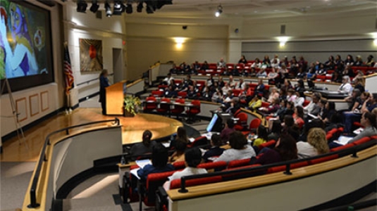 an auditorium presentation